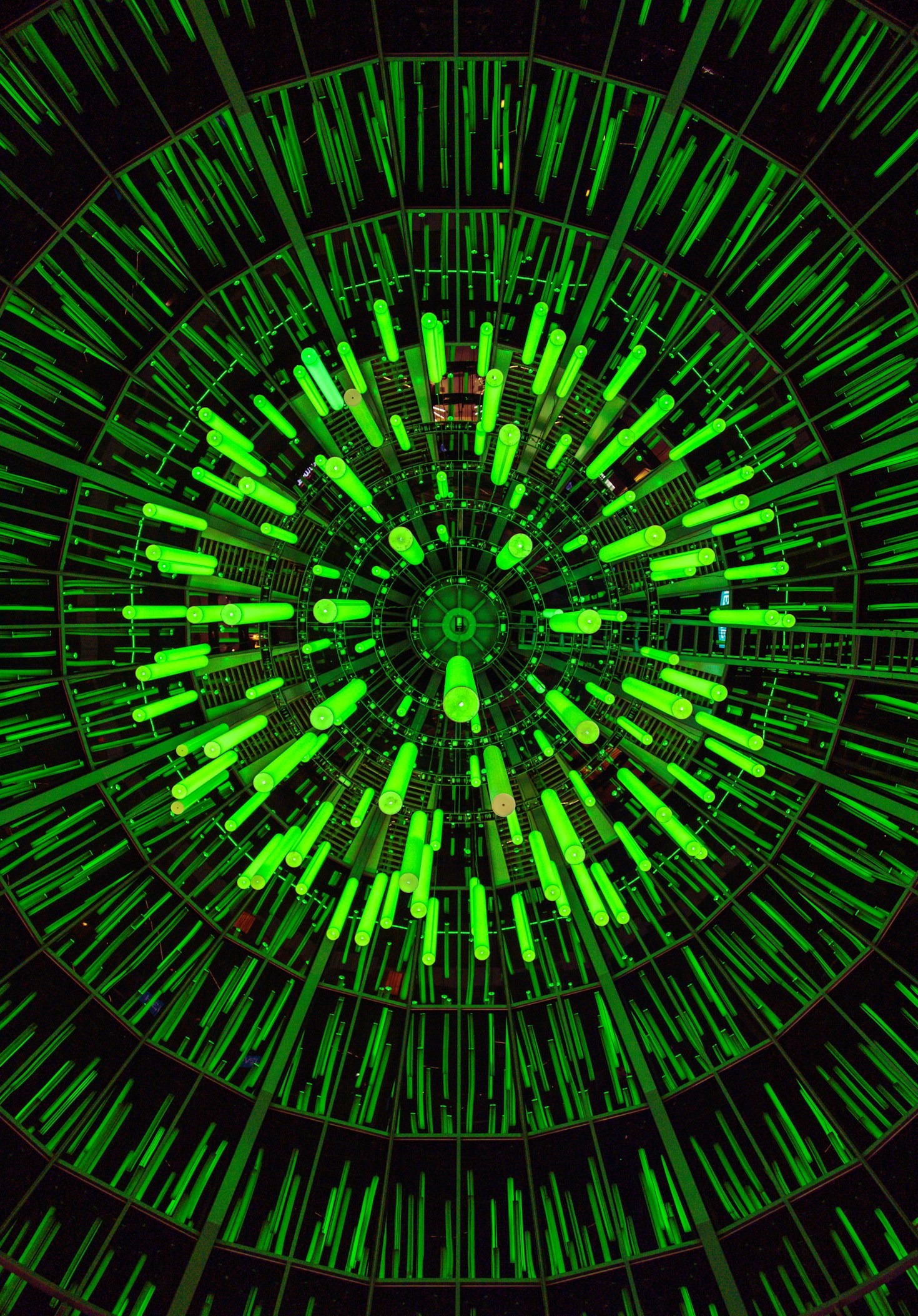 Spotlight on Stunning Laser-Crafted Innovations